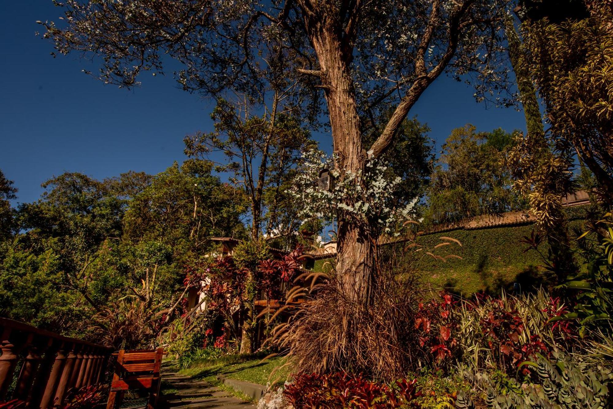 Pousada Monte Imperial Petrópolis エクステリア 写真